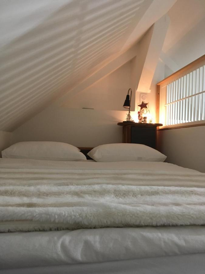Logement Climatise Erdre Riviere La Chapelle-Sur-Erdre Luaran gambar
